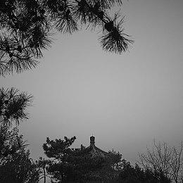 《王者荣耀》又涉嫌抄袭 雅典娜新皮肤借鉴《守望先锋》